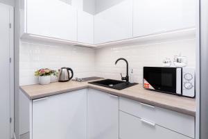 Kuchnia lub aneks kuchenny w obiekcie Balticus Apartamenty Standard Promenada Gwiazd 14
