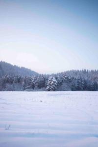 Uroczy domek w Rabce-Zdrój om vinteren