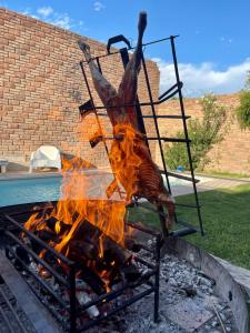 un fuego en una parrilla con llamas en ella en Casa Quinta Seccion en Mendoza