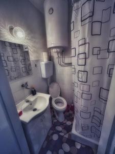 a small bathroom with a toilet and a sink at BGD apartman in Dušanovac (historical)