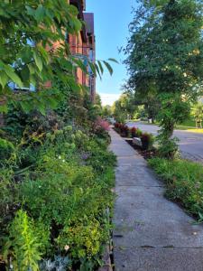 a sidewalk next to a building with flowers and plants at Buffalo Harmony House in Buffalo