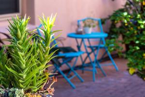 niebieskie krzesło, niebieski stół i kilka roślin w obiekcie Adobe Rose Inn w mieście Tucson