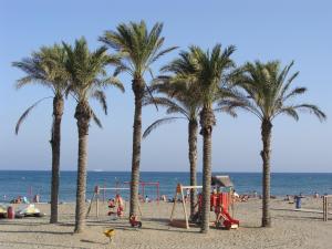 un grupo de palmeras en una playa con parque infantil en Apartamento Pelicanos Golf & Beach - spacious and modern with terrace and private pool, en Roquetas de Mar