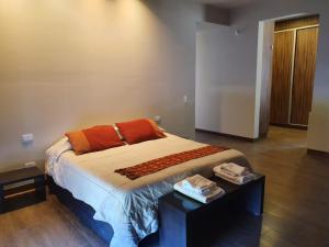 1 dormitorio con 1 cama grande con almohadas de color naranja en Casa Atamisque en San Rafael