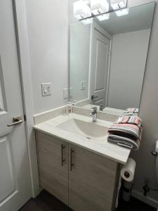 a bathroom with a sink and a large mirror at Cozy Private 1 bedroom basement suite - free parking and free Wifi in Winnipeg