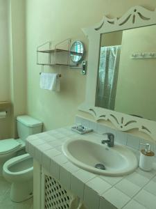 een badkamer met een wastafel, een toilet en een spiegel bij La Dolce Vita Rental, Las Terrenas, Samana in Santa Bárbara de Samaná