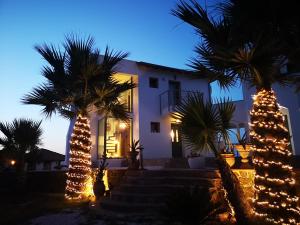 a house with palm trees decorated with christmas lights at Villa Freebird VIP Wedding & Bachelor Party Events Δεξιώσεις Γάμου - Μπάτσελορ Πάρτι in Pefkohori