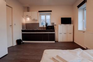 a kitchen with a bed and a sink in a room at Apartmány Centrum in Nový Bor