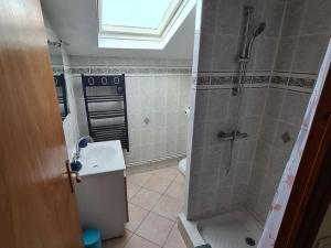 a bathroom with a shower and a sink at Gîte Fontenoy-sur-Moselle, 2 pièces, 4 personnes - FR-1-584-175 in Fontenoy-sur-Moselle