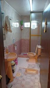 y baño con aseo, lavabo y ducha. en Petra Heritage House, en Wadi Musa