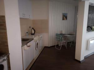 Il comprend une cuisine équipée d'un évier et d'un lave-linge. dans l'établissement ZEN Studio Apartman, à Bihać
