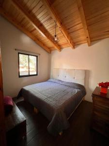 Tempat tidur dalam kamar di Cabaña "Alexa", en el corazón del bosque de Mazamitla