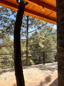 Fotografie z fotogalerie ubytování Cabaña "Alexa", en el corazón del bosque de Mazamitla v destinaci Mazamitla
