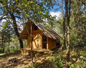 a small house in the middle of a forest at La Montaña Parque Natural in La Curva