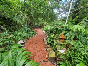 einen roten Backsteinweg in einem Garten mit Pflanzen in der Unterkunft MAEVE Quarto Mata in Goiás