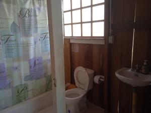 La salle de bains est pourvue de toilettes et d'un lavabo. dans l'établissement Hotel Karupa Amazonas, à Leticia