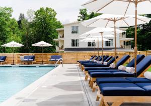- une rangée de chaises longues bleues à côté de la piscine dans l'établissement Wylder Windham, à Windham
