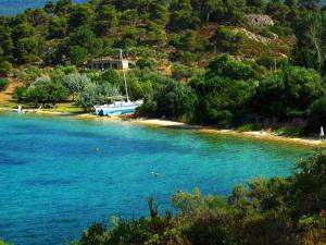 a boat is docked on the shore of a river at Philippos 1 in Diaporos