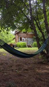 a hammock in front of a log cabin at Cabaña Mirador del Valle in Lago Puelo