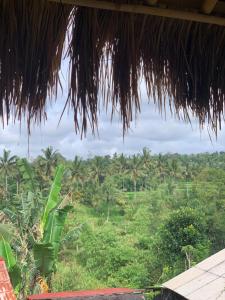 a view of a field of palm trees from a hut at Tetebatu Sama Sama Bungalows in Tetebatu