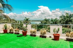 een uitzicht vanaf het balkon van een resort met planten bij Hotel Tuparenda in Bacalar