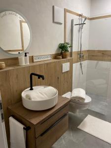 a bathroom with a sink and a toilet and a mirror at Jakobshof in Bad Mergentheim