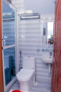 a white bathroom with a toilet and a sink at The VIP Luxury Lounge Hotel in Kisumu