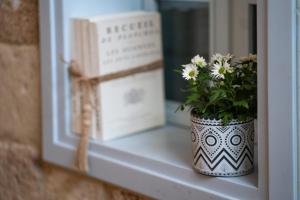 Fotografie z fotogalerie ubytování Villa Sera v destinaci Akko