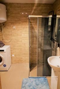 y baño con ducha, lavabo y lavadora. en Domek Na Starej Cegielni, en Baligród