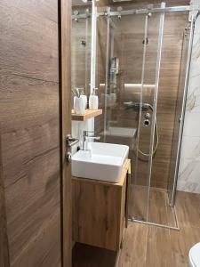 La salle de bains est pourvue d'un lavabo et d'une douche. dans l'établissement Borovi snovi Divčibare, à Divčibare