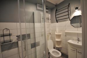 a bathroom with a shower and a toilet and a sink at Willa Szyszka in Karpacz