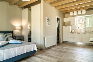 Kuchyň nebo kuchyňský kout v ubytování Villa Gionis
