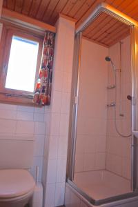 a bathroom with a shower and a toilet at Chalet Arabesque - Switzerland in Grächen