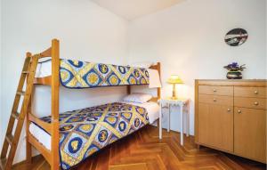 a bedroom with a bunk bed and a ladder at Gorgeous Home In Kastav With Wifi in Kastav
