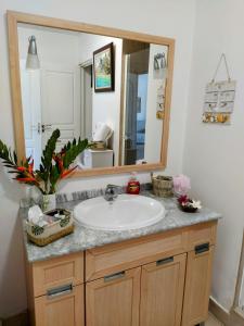 La salle de bains est pourvue d'un lavabo et d'un grand miroir. dans l'établissement Farerei Appartement spacieux, équipé et confortable, à Fa'a'ā