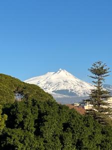 a snow covered mountain in the distance with a tree at Eh13 Luxury Accommodation in Catania