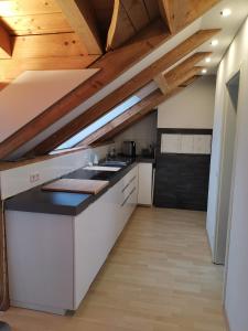 Kuchyň nebo kuchyňský kout v ubytování Baltmannsweiler CHALET style top floor apartment no smoking