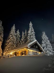 a cabin covered in snow at night with snow covered trees at Chalet Klara in Resnik