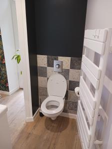 uma casa de banho com um WC branco num quarto em La laiterie de la Plume em Nantes