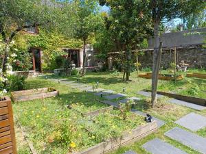 un giardino con alcune piante in un cortile di La laiterie de la Plume a Nantes