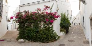 Kép Vista La Janda - Califa Casas Vejer szállásáról Vejer de la Fronterában a galériában