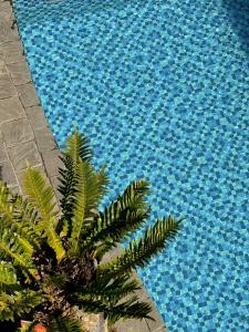 a palm tree next to a blue swimming pool at Bách Xanh House. Triangle Bungalow in Tam Ðảo