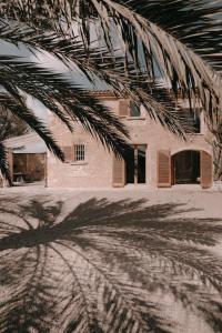 a shadow of a palm tree in front of a building at El Apartamento in Manacor