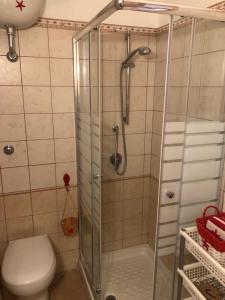 een badkamer met een douche en een toilet bij B&B Il Mirto Bianco in San Giovanni Suèrgiu