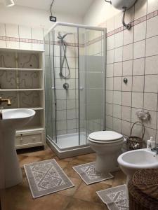 La salle de bains est pourvue d'une douche, de toilettes et d'un lavabo. dans l'établissement B&B Il Mirto Bianco, à San Giovanni Suergiu