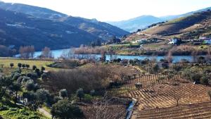 arial view of a valley with a river and mountains at Casa Quinta da Adega do Chão - Vale do Douro in Lamego