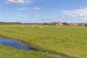 una manada de animales pastando en un campo junto a un río en Wadden Villa 12, en Hollum