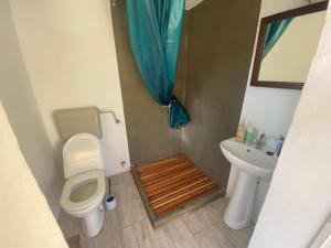 a bathroom with a toilet and a sink at Blue Abyss Apartment in Susak