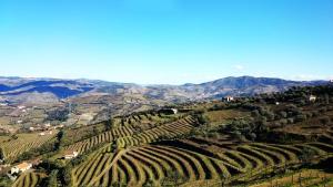 an aerial view of a vineyard with mountains in the background at Casa Quinta da Adega do Chão - Vale do Douro in Lamego