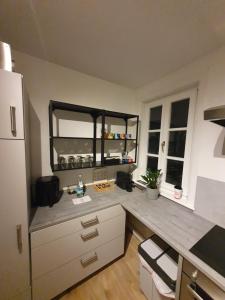 a kitchen with a counter and a refrigerator at Modernes Apartment zentral in Bad Laasphe